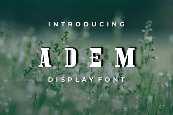 Adem: A Modern Serif Display Font for Editorial Design