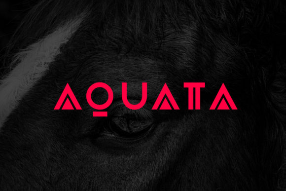 Aquata: A Clean, Modern Sans Serif for Bold Brand Moments