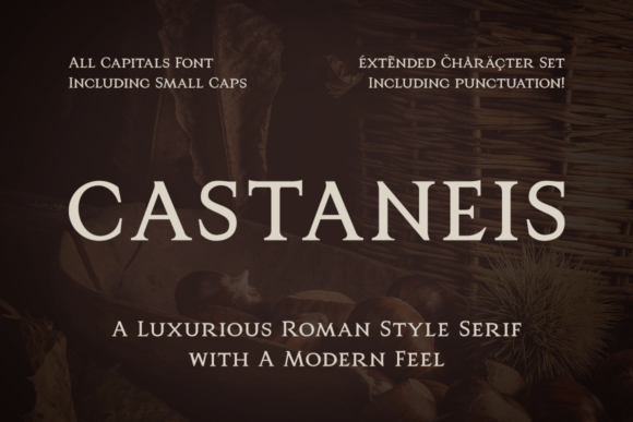 Castaneis: A Roman Serif That Elevates Digital Branding