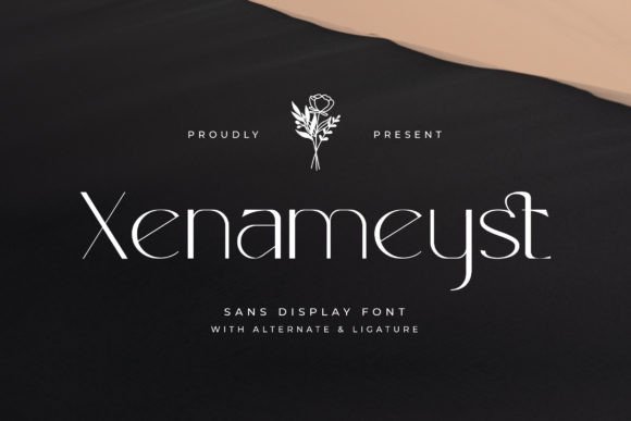 Xenameyst: A Modern Sans Serif That Just Works